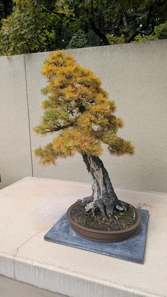 GIF diunggah dening Chris