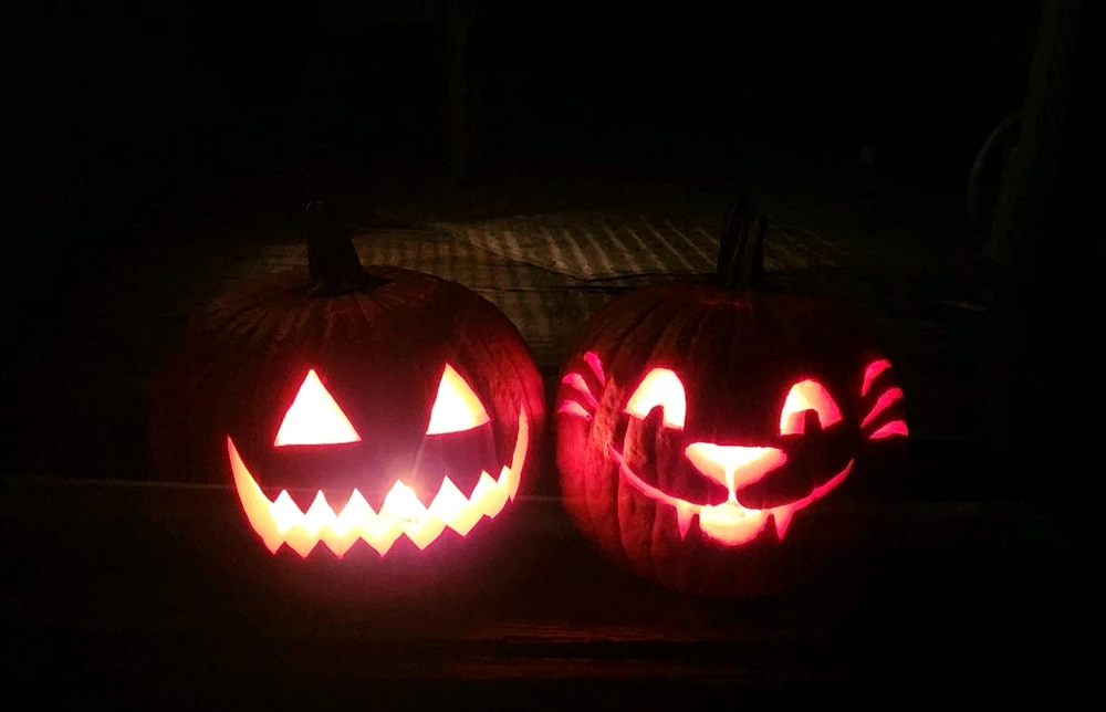 Me and my best friends jack o' lantern this year. She did the cute cat one. I think they turned out nice. ^-^