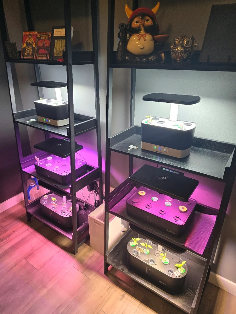 Gambar diunggah dening JAY