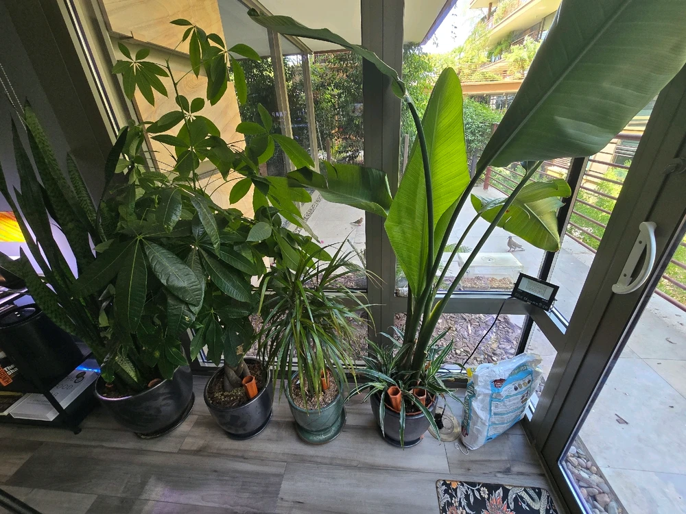 Gambar diunggah dening JAY