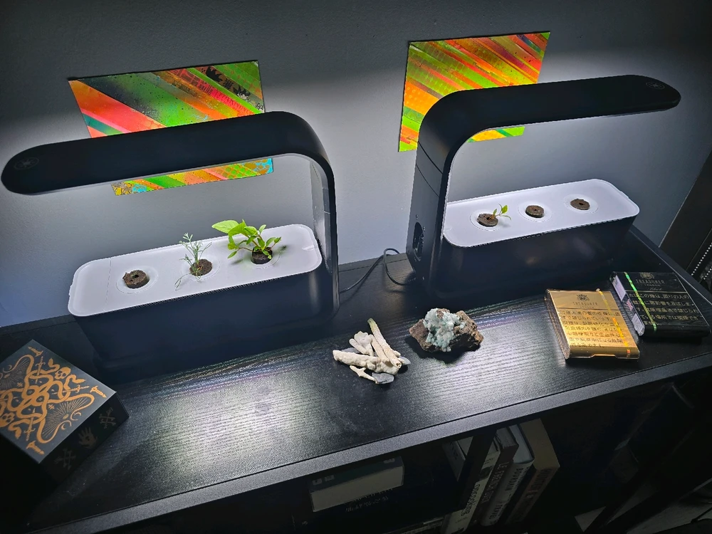 Gambar diunggah dening JAY