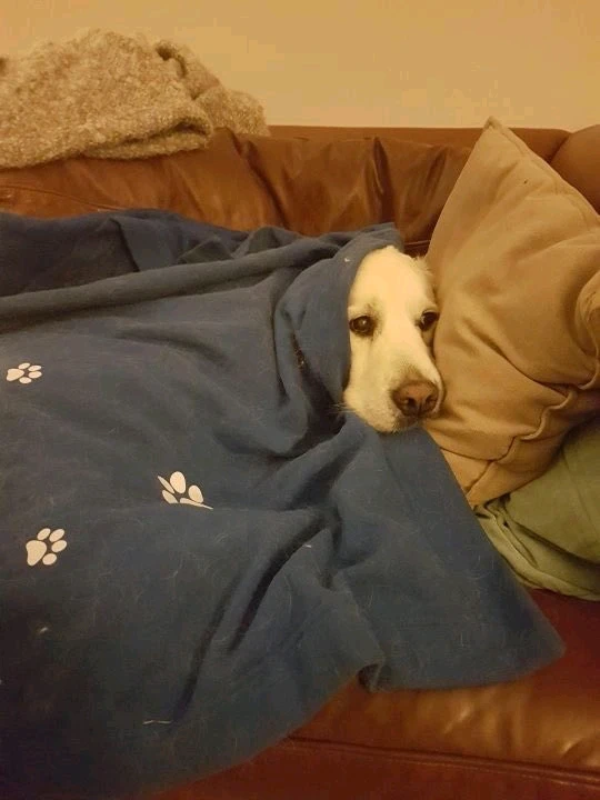 GIF enviado por Júlio