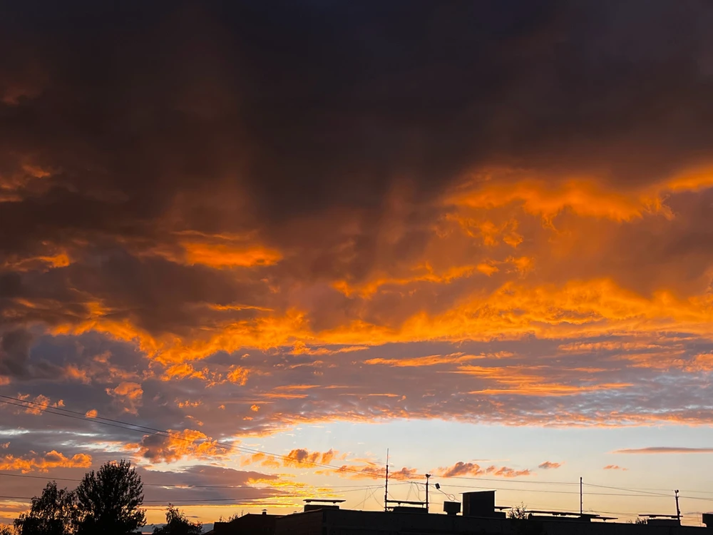 Фото загрузил Мария