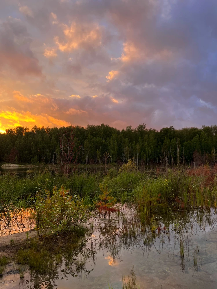Фото загрузил Мария
