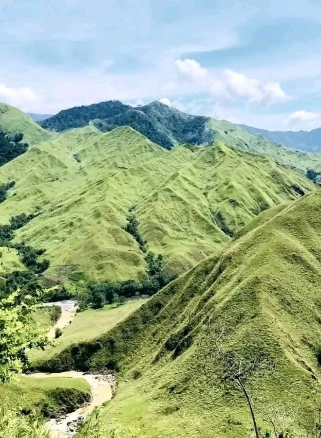 Image uploaded by Ambher Luna