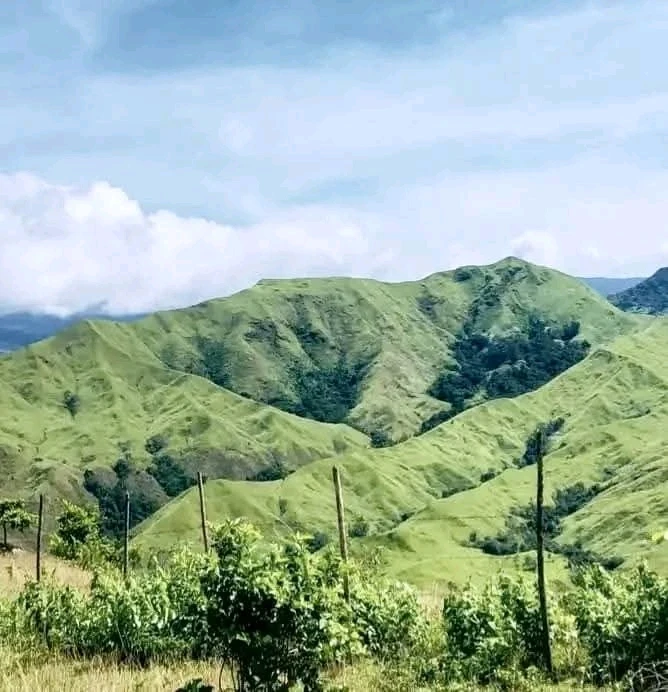 Image uploaded by Ambher Luna