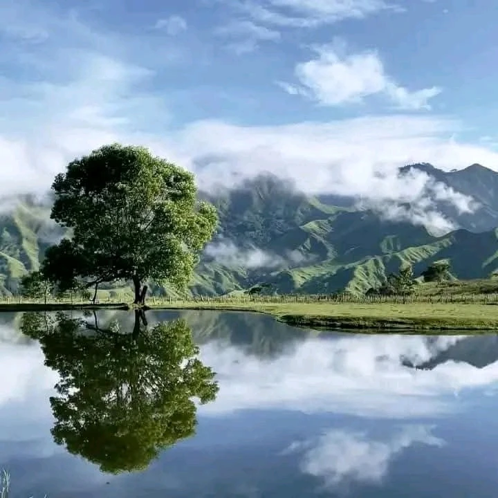 Image uploaded by Ambher Luna