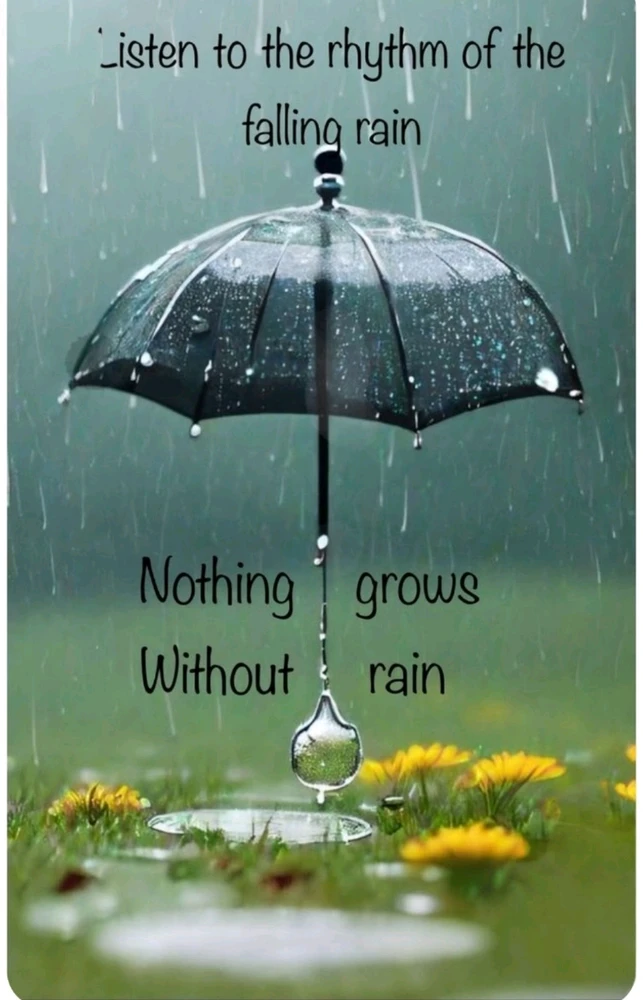 Un coucou du matin 🙋🌸