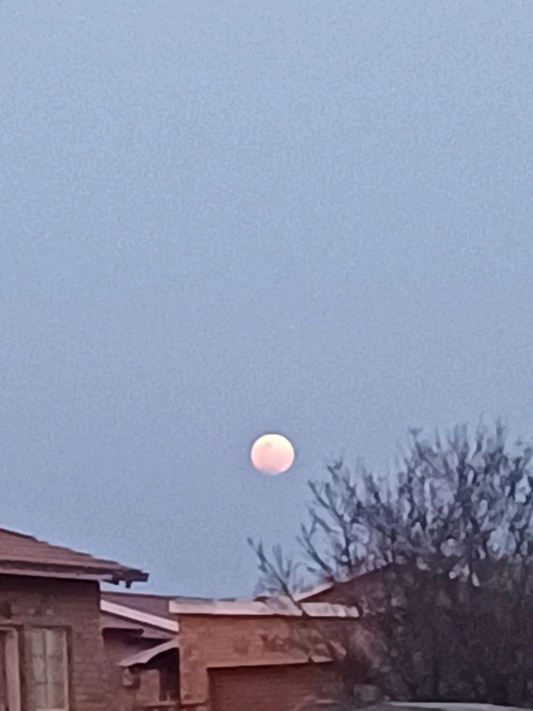 GIF uploaded by Alida