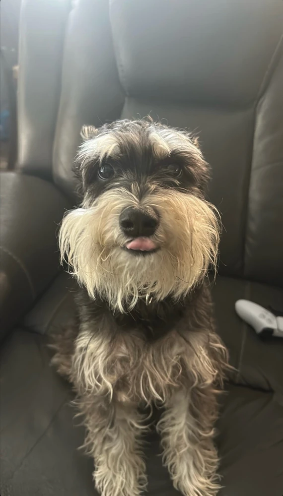 GIF uploaded by Javier