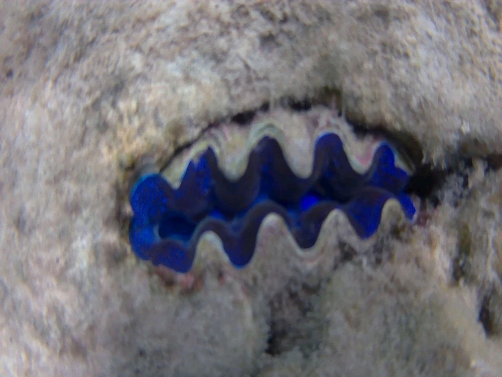 GIF uploaded by Tinaa