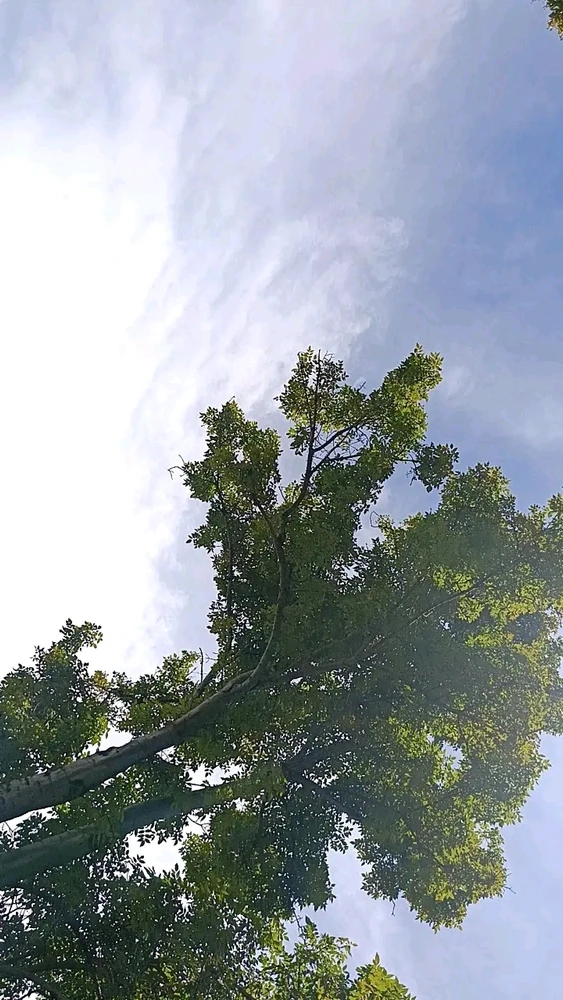 Amo hacer fotografías!