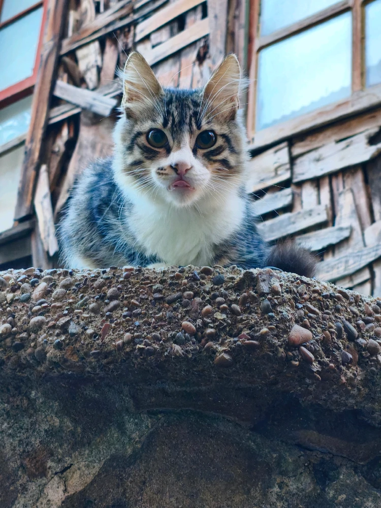 Onur tarafından yüklenen görsel