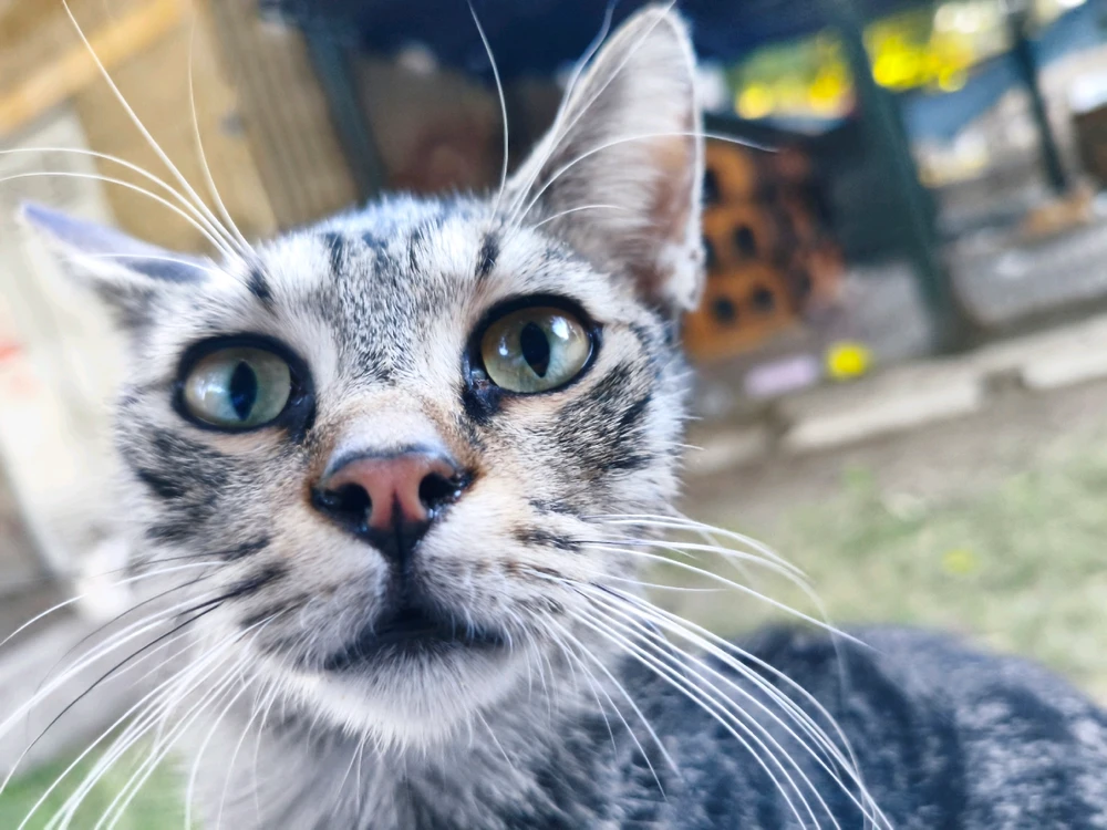 Onur tarafından yüklenen görsel