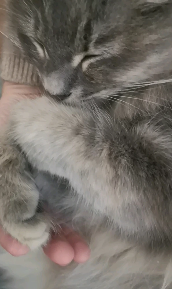 Фото загрузил Kate