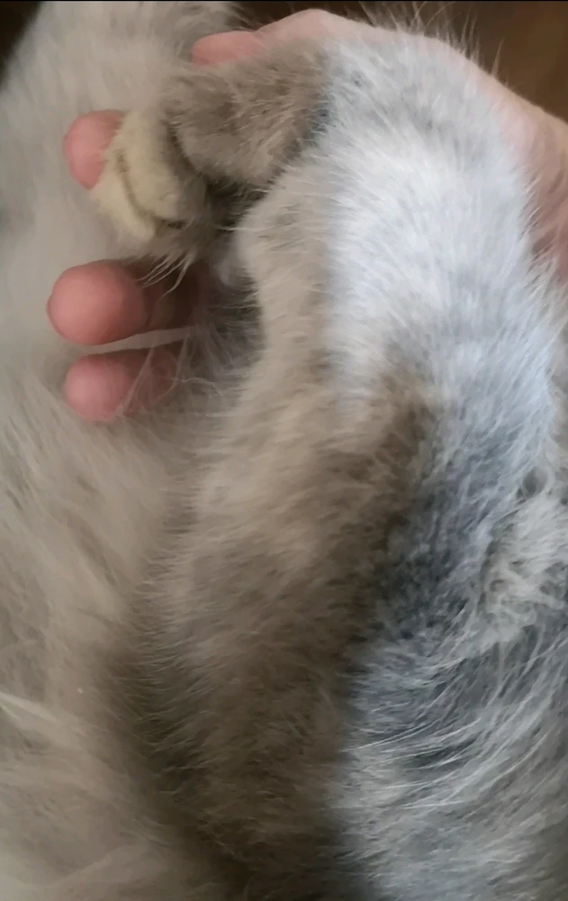 Фото загрузил Kate