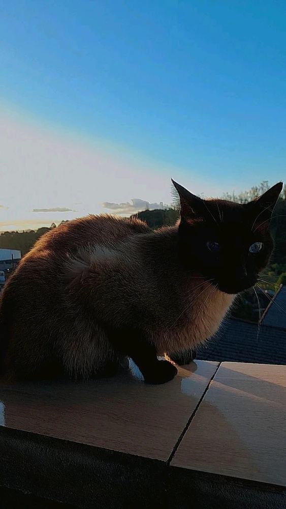 GIF enviado por Talita