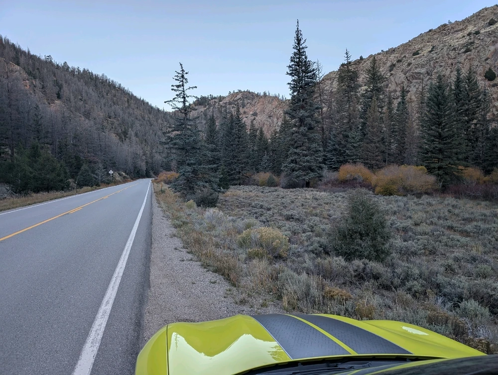 Image uploaded by Tib