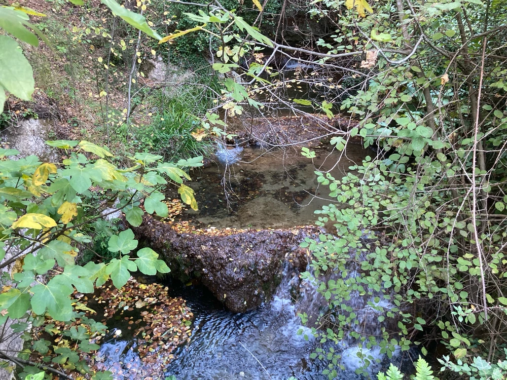 Image ajoutée par Julien