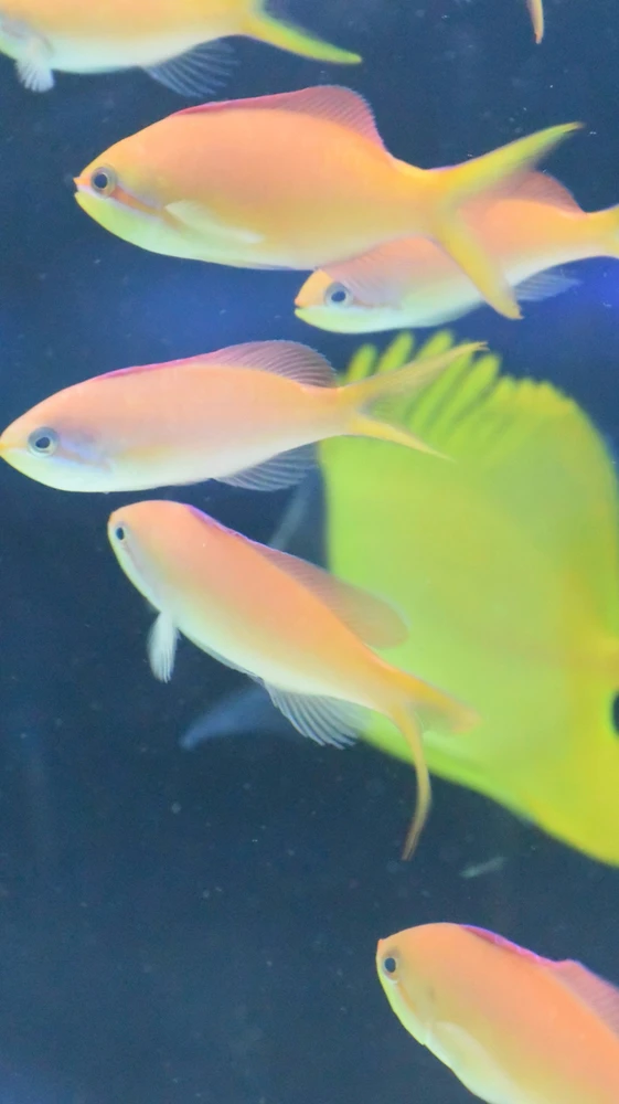 Imagen subida por Arturo