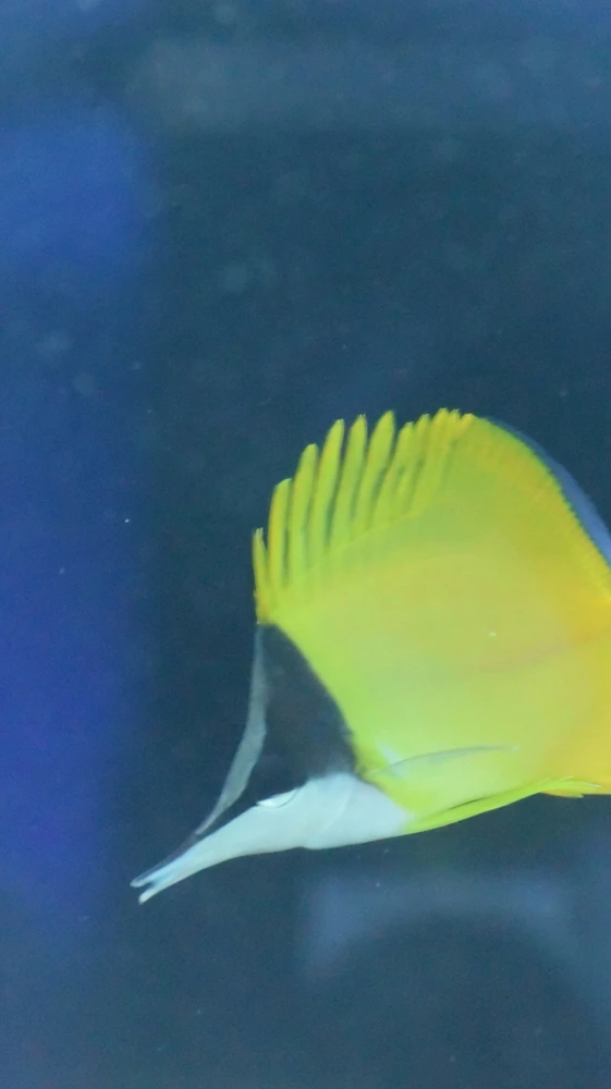 Imagen subida por Arturo