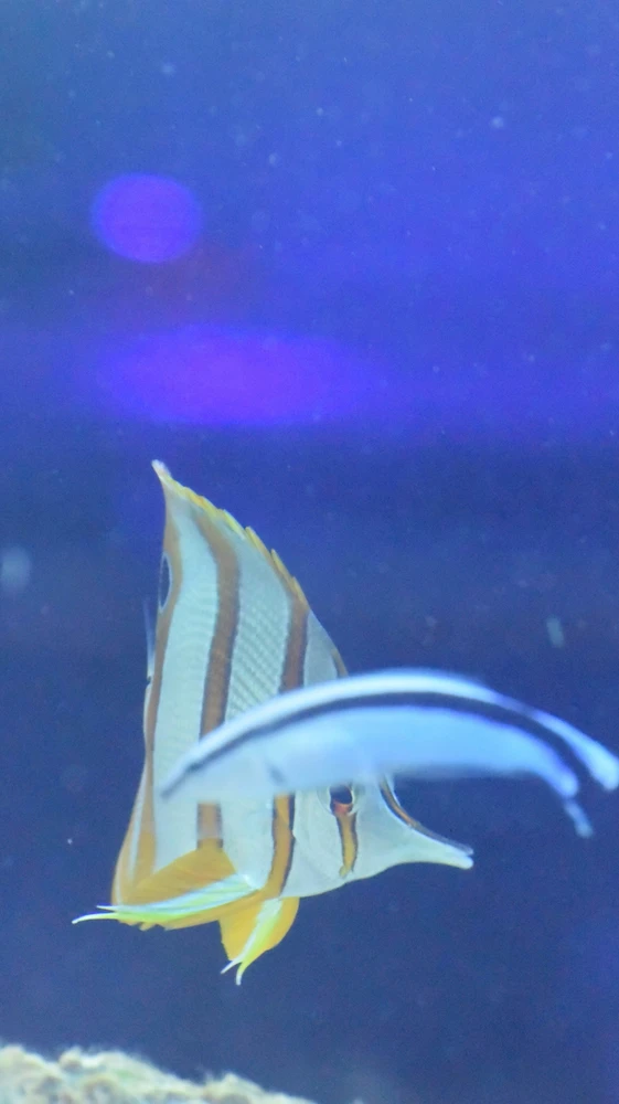 Imagen subida por Arturo