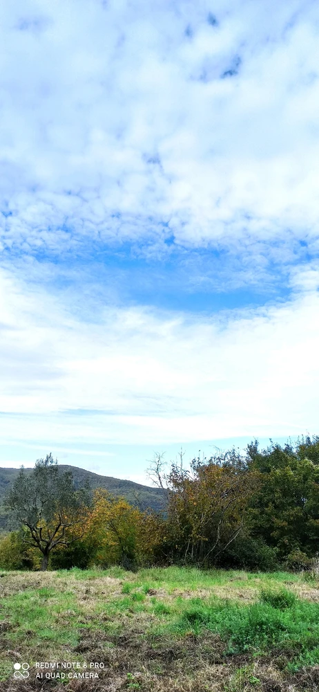 GIF caricata da Francesco