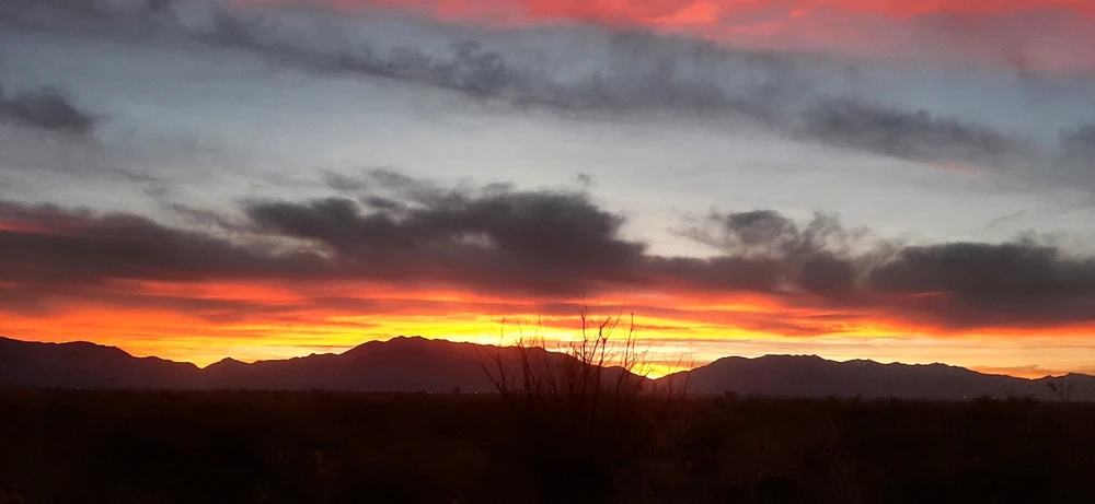 Image uploaded by Chandler