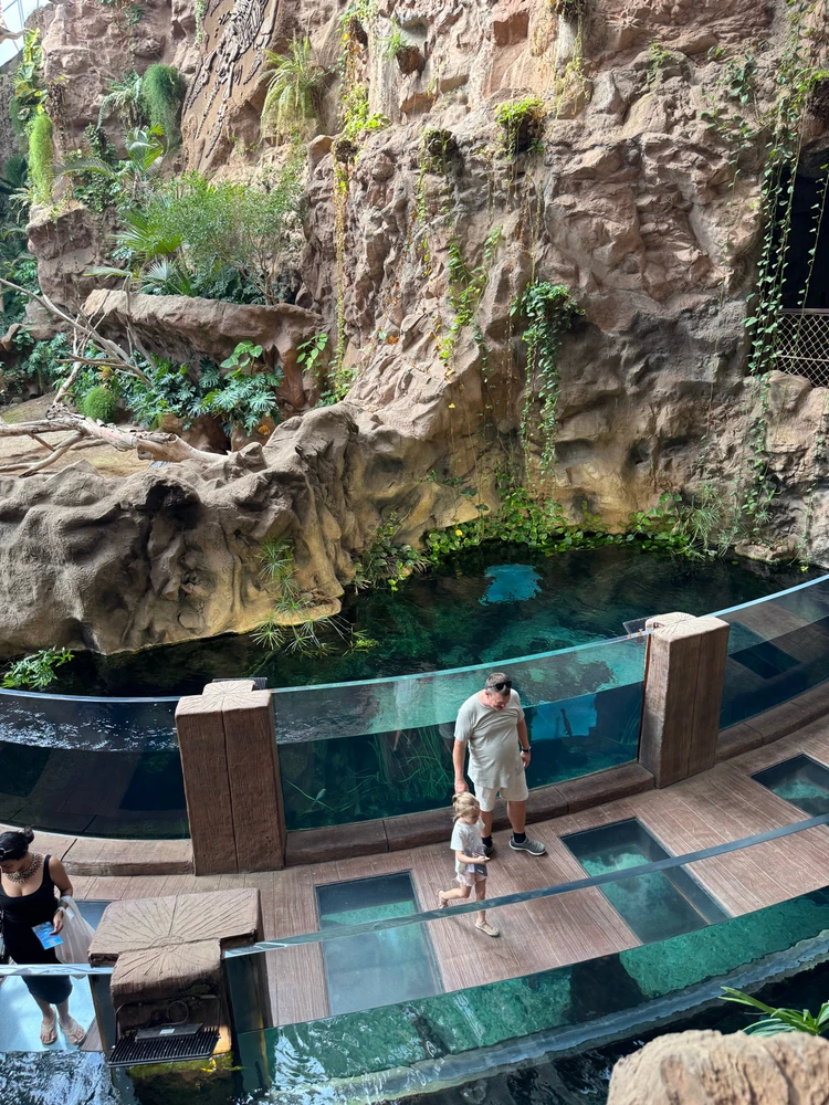 Image uploaded by Dome 😽