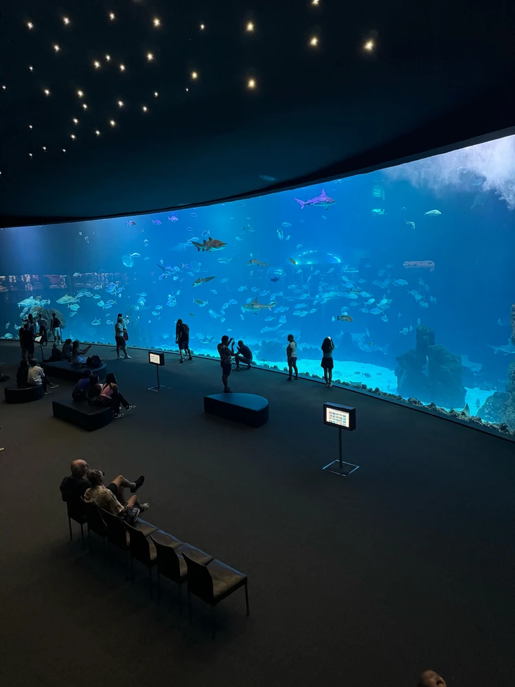 Image uploaded by Dome 😽