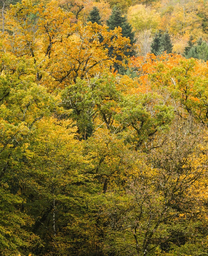 GIF ajouté par Gaël