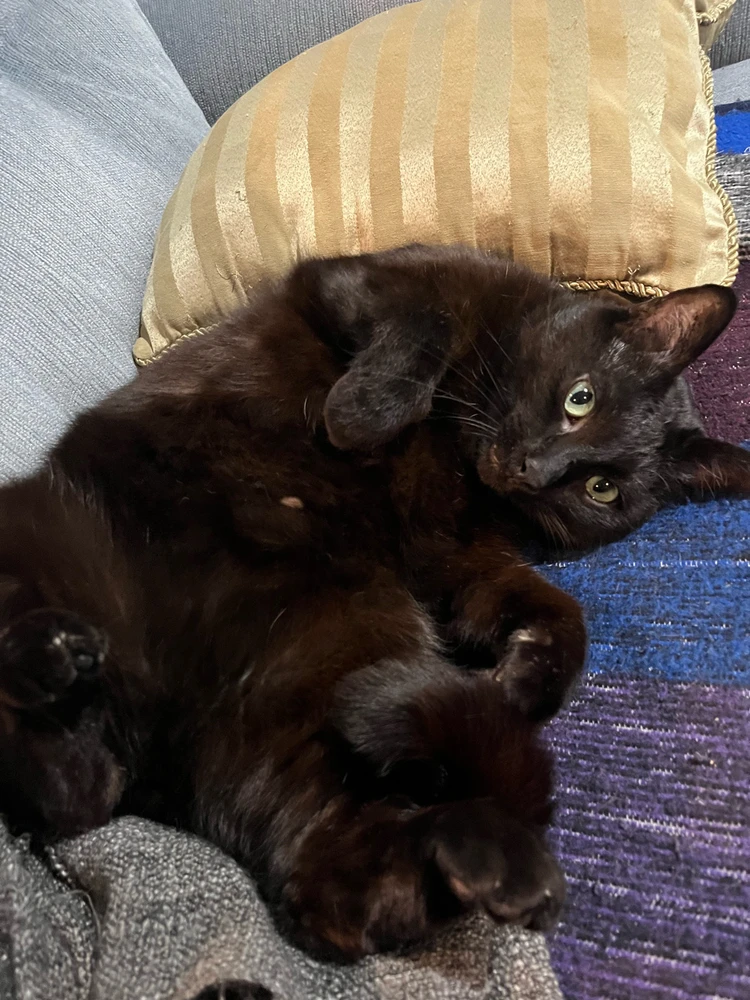 GIF uploaded by Jason