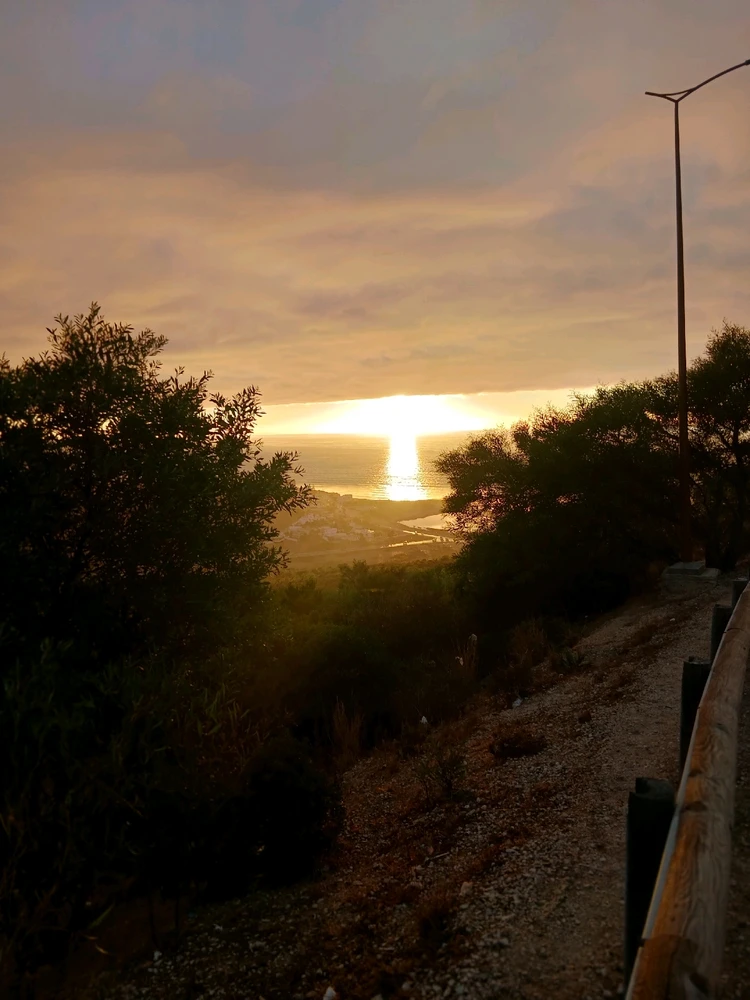 Image uploaded by Zahra