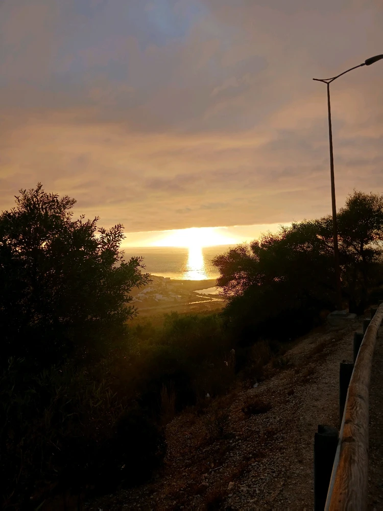 Image uploaded by Zahra