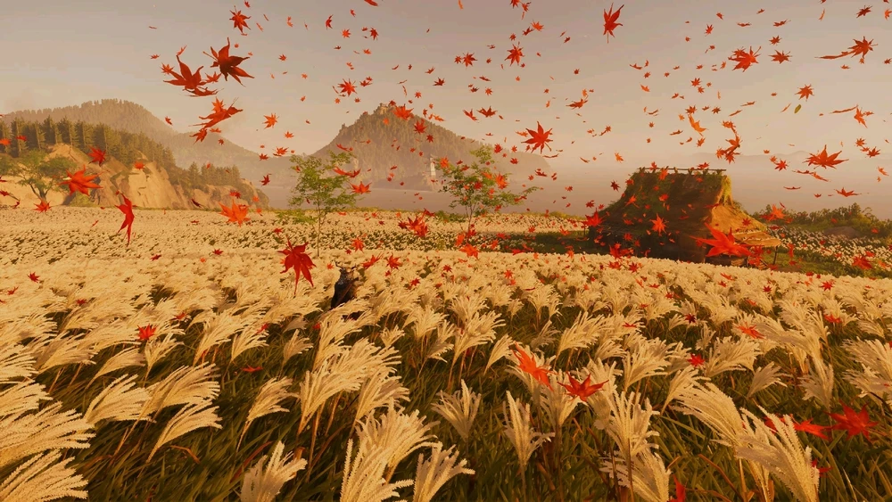 Image uploaded by Moondoggy