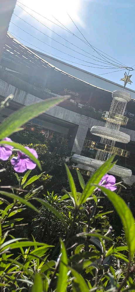 Seee... Finales de octubre y la plazas ya se adelantaron en poner adornos navideños, Guadalajara y su gente tan impaciente en fin...

Mi libertad en tomar una que otra foto no falto.