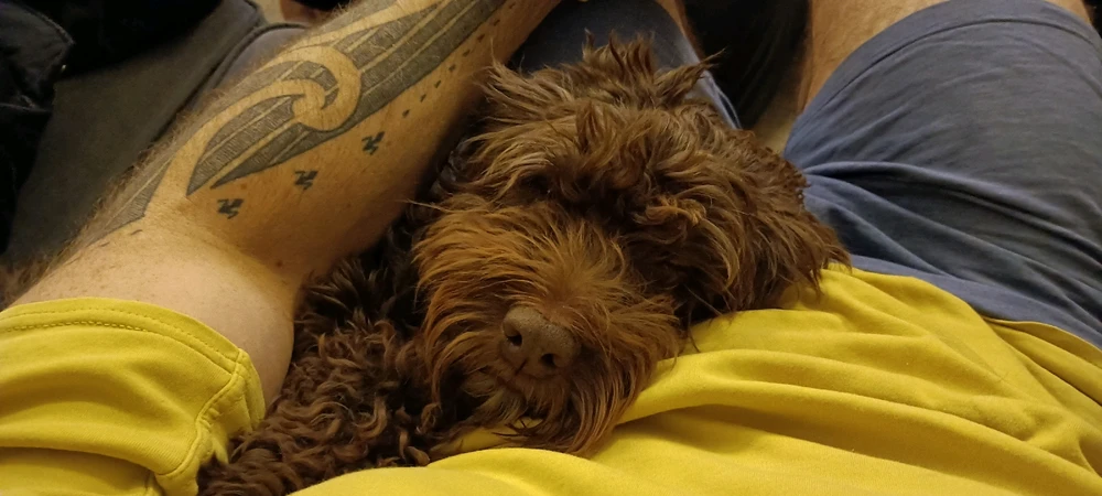 GIF uploaded by Gordon