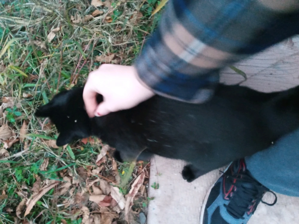 Image uploaded by Brooke