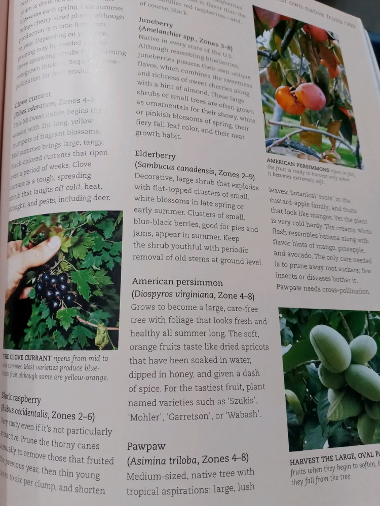 Image uploaded by Brooke