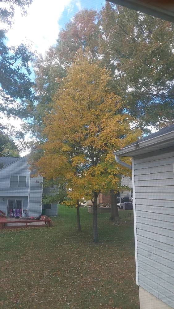 GIF uploaded by Jonathan