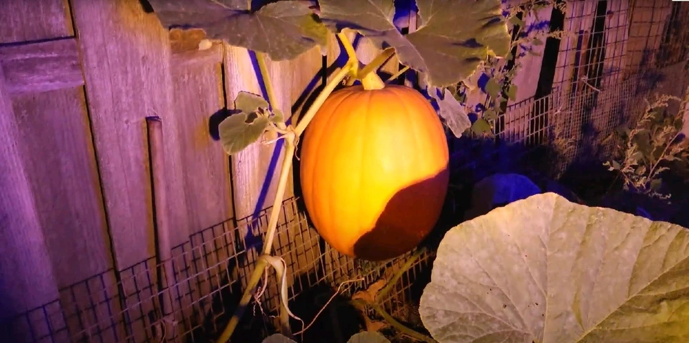 GIF uploaded by Jonathan