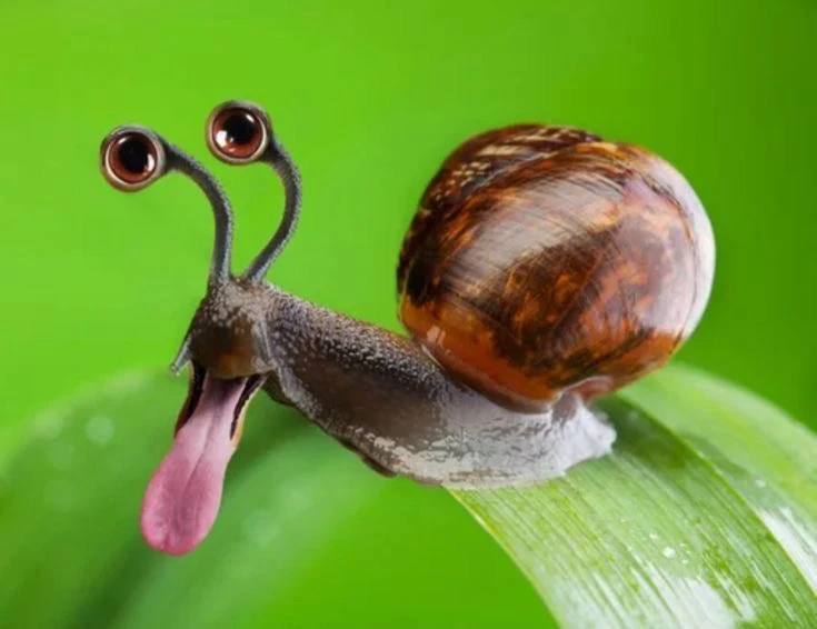 GIF uploaded by alana