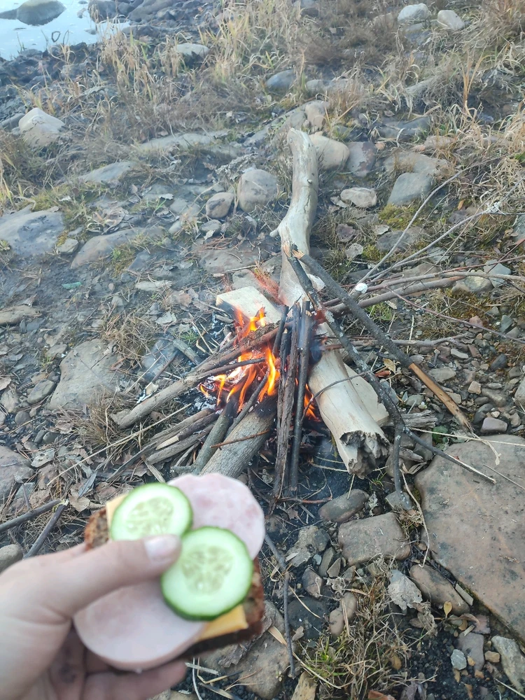 Image uploaded by Lisa