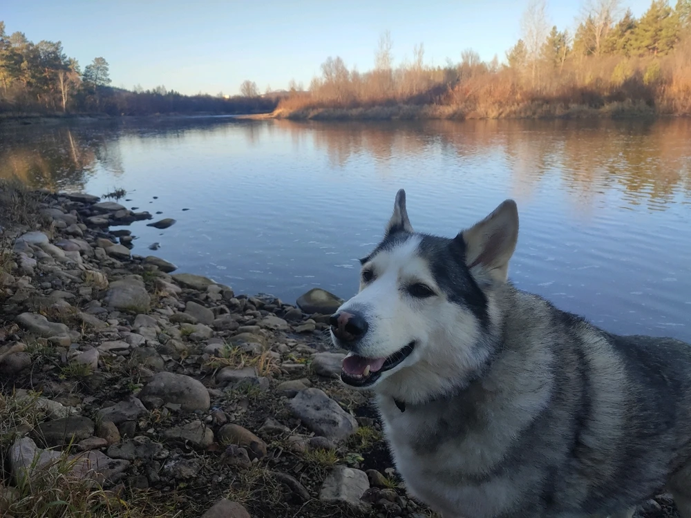 Image uploaded by Lisa