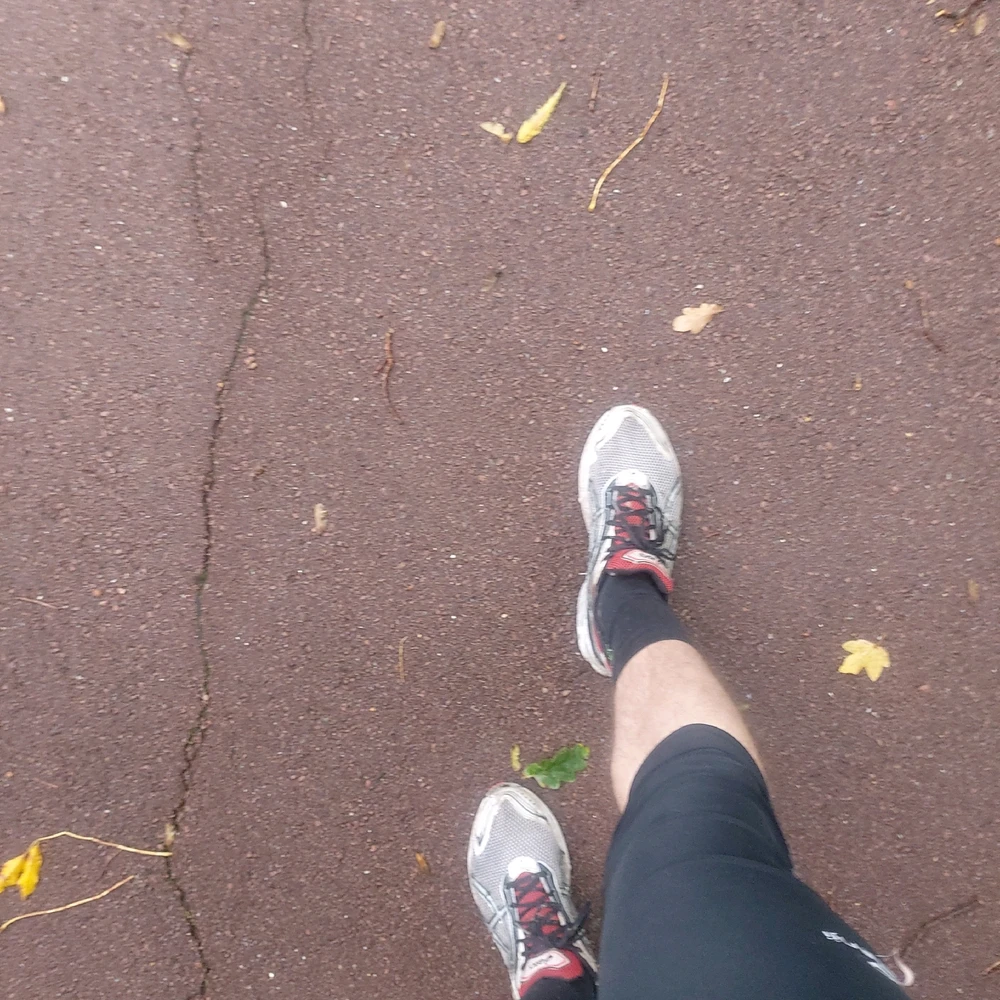 C'est parti pour une nouvelle semaine