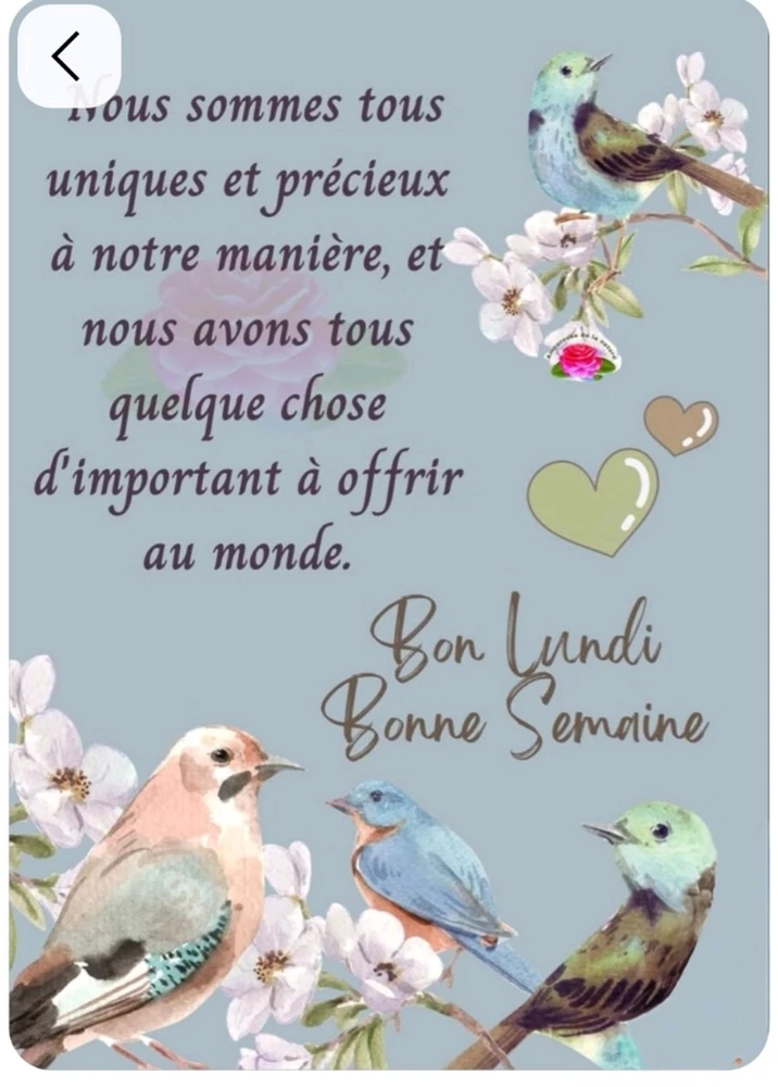 Un coucou du matin 🙋🌸