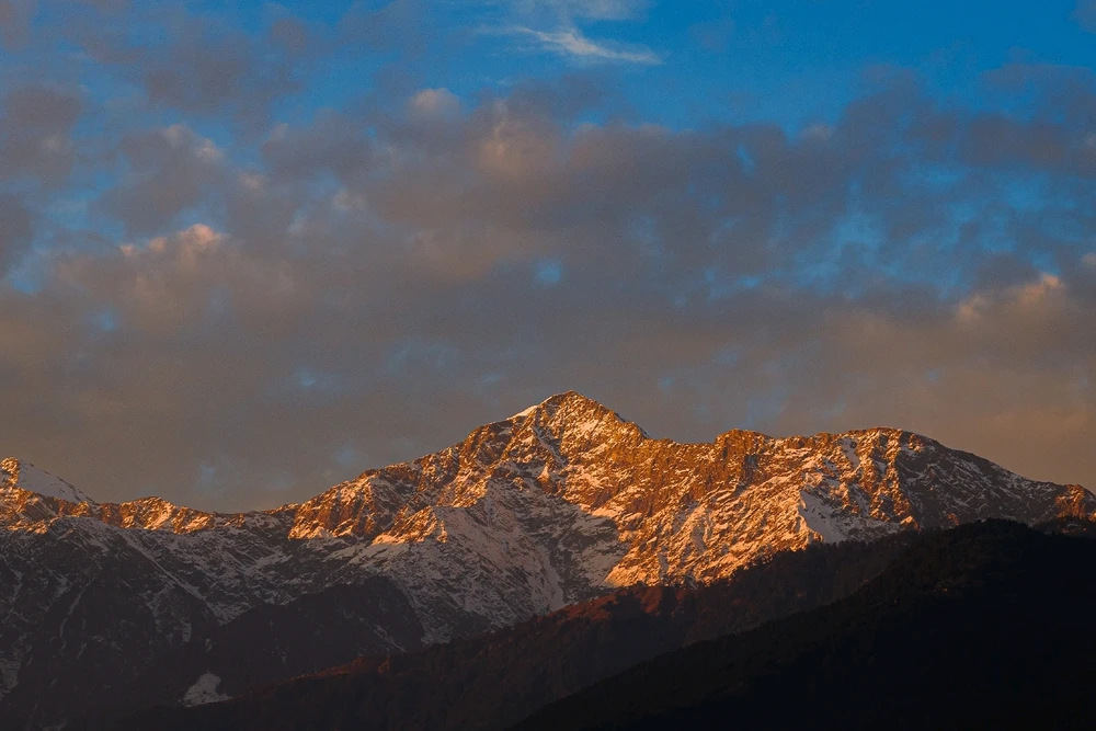 Image uploaded by Abhijeet Roy