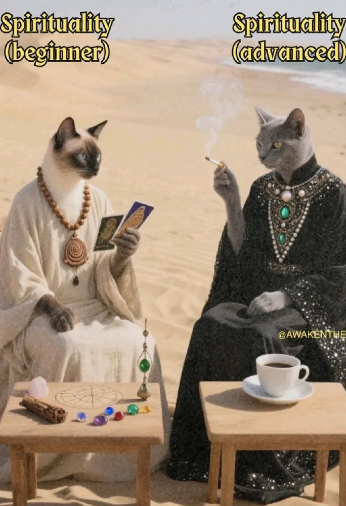 My past as a beginner vs NOW as realized being 🤪🥳💕