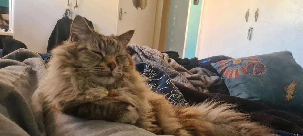 GIF diunggah dening Jessica