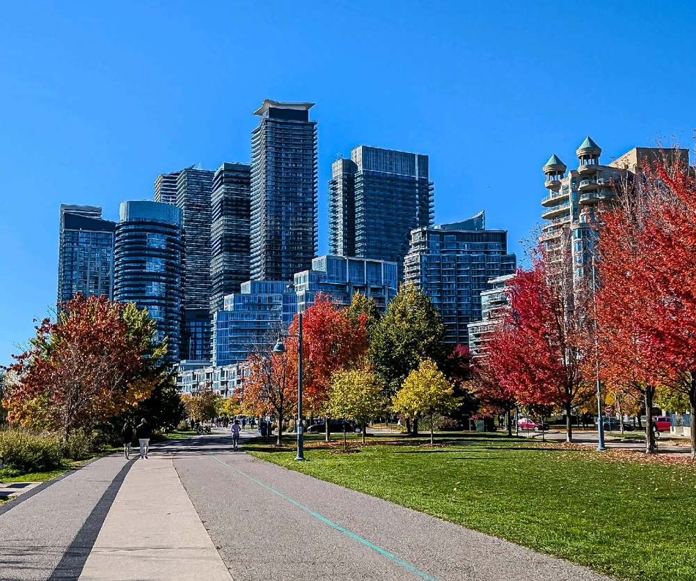 🏙️🍁🍂🌿